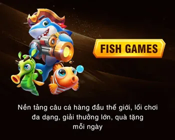 Cá cược bóng đá h3bet